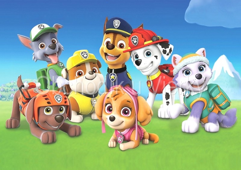 Jedlý obrázok Paw Patrol č. 8134,08